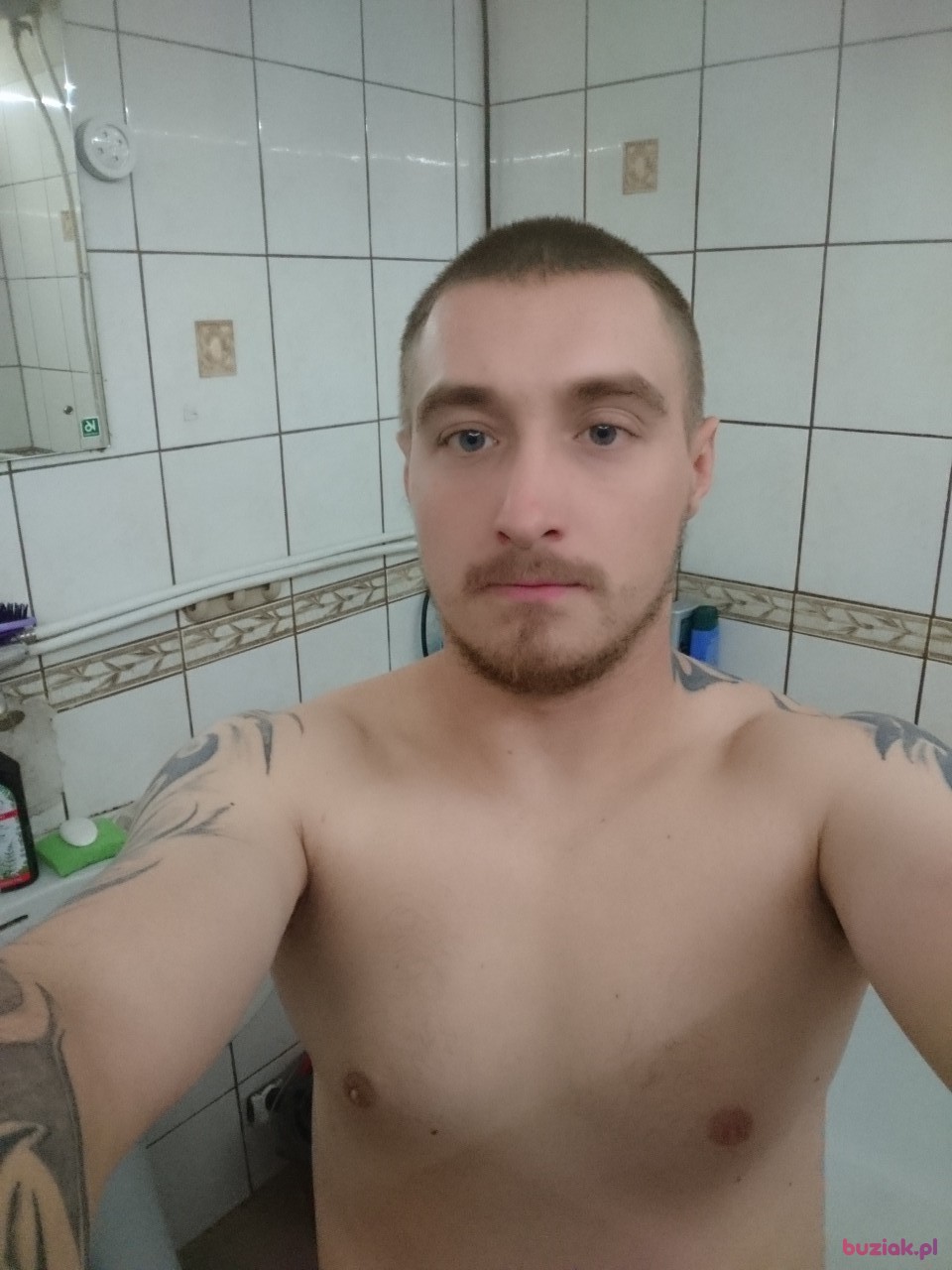 NORBERT, Male, 28, Oborniki, Polska: 1