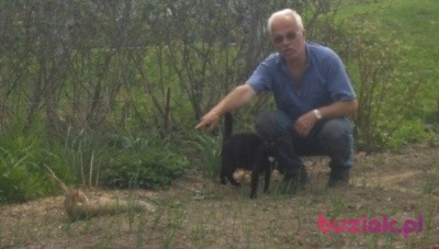 Marian, Mężczyzna, 79, Polska: 1