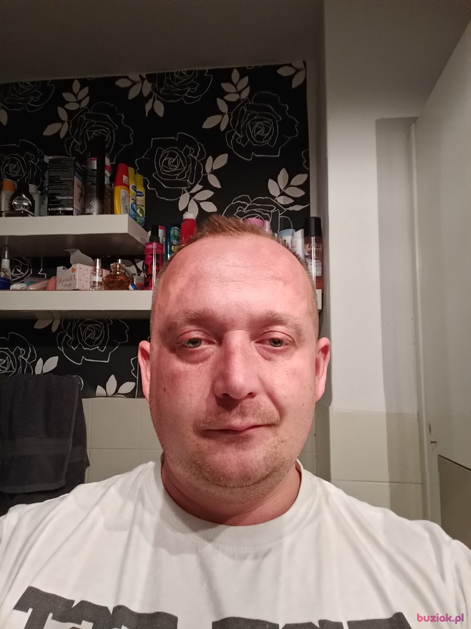 Michał, Mężczyzna, 39, Cologne North Rhine Westphalia, Niemcy: 1