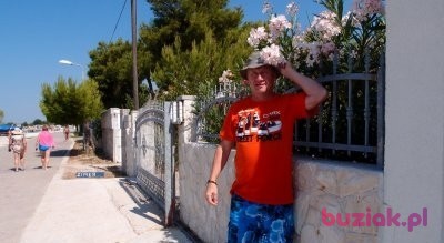 wlodek, Male, 67, Kartuzy, Polska, Photo: 4