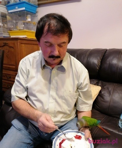 Zdzislaw, Mężczyzna, 68, Kraków, Polska, Zdjęcie: 2