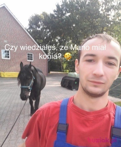 Adam, Male, 30, Wrocław, Polska, Photo: 4