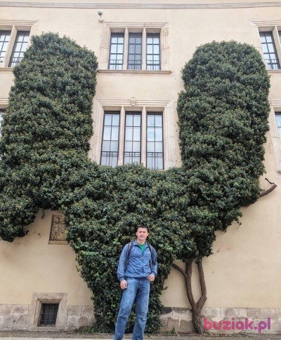 Igor_Rogowski, Mężczyzna, 40, Kraków, Polska, Zdjęcie: 17
