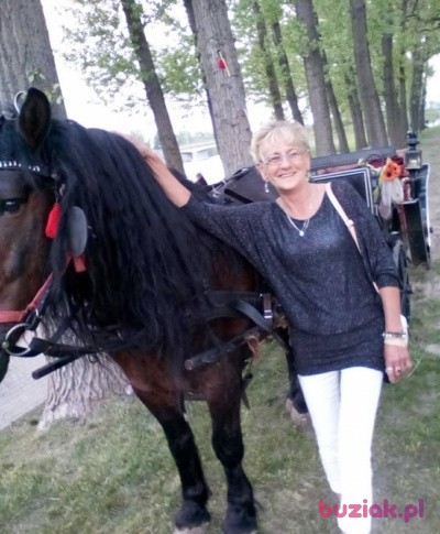 ALEKSANDRA, Female, 65, Inowrocław, Polska, Photo: 1