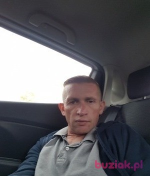 Tomek, Mężczyzna, 50, Antwerpia, Belgia, Zdjęcie: 1