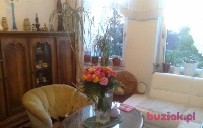 beata , Kobieta, 108, Tarnobrzeg, Polska, Zdjęcie: 18