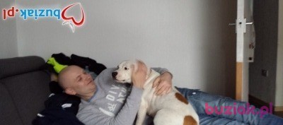 krzysiek, Mężczyzna, 44, Northampton, Wielka Brytania, Zdjęcie: 2