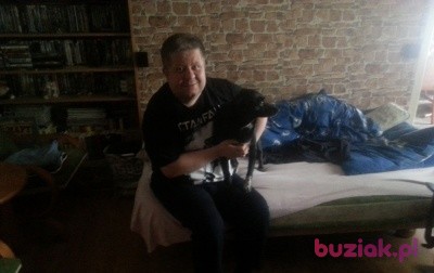 Michał, Male, 44, Gdańsk, Polska, Photo: 1