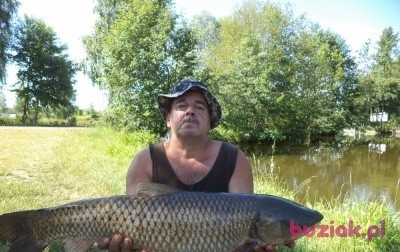 majcok555, Male, 54, Mielec, Polska: 1