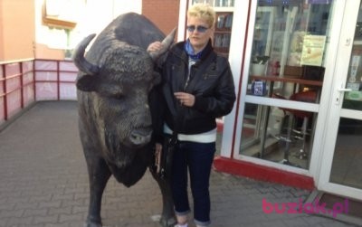 Anna, Kobieta, 58, Llanelli Rural, Wielka Brytania, Zdjęcie: 5