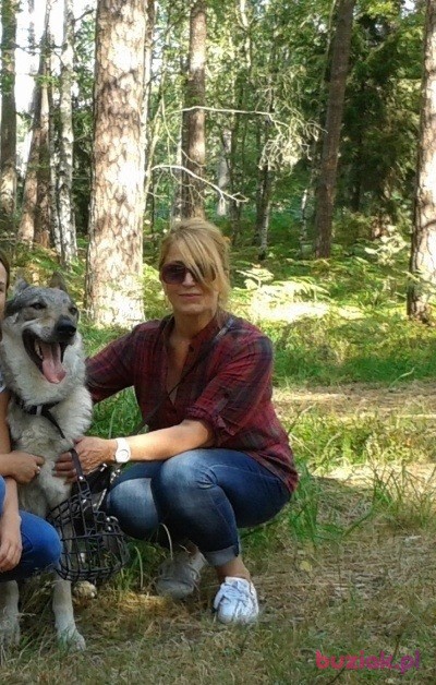 Bogumiła, Female, 65, Szczecin, Polska, Photo: 6