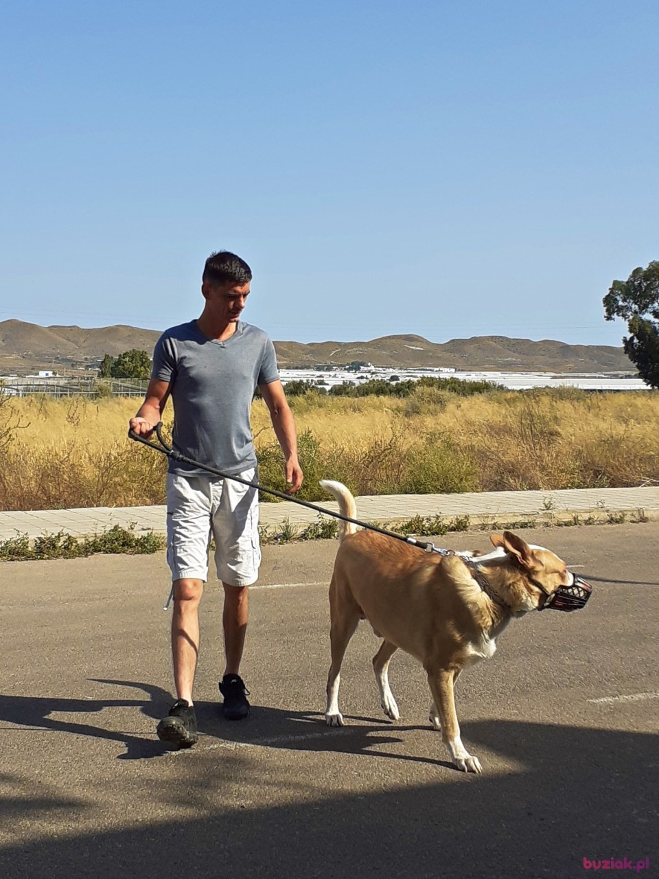 Paweł, Mężczyzna, 36, Aguadulce Province of Almeria Andalucia, Hiszpania, Zdjęcie: 2