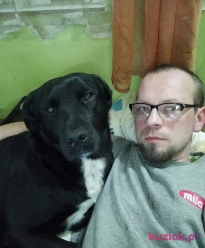 Michał, Mężczyzna, 40, Stąporków, Polska, Zdjęcie: 1