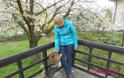 Iwona, Female, 67, Zgierz, Polska, Photo: 2