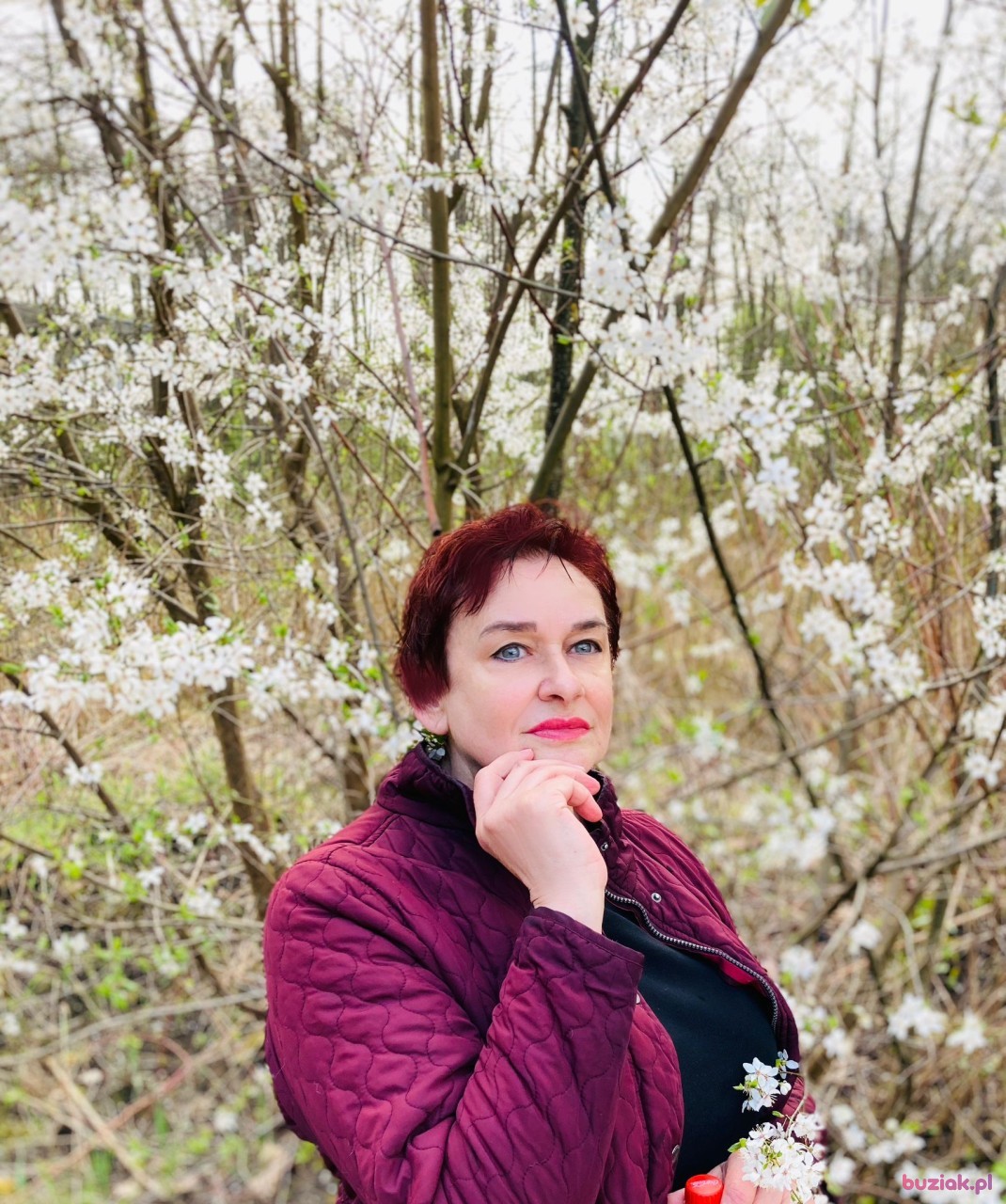 ewa, Kobieta, 63, Warszawa, Polska, Zdjęcie: 1