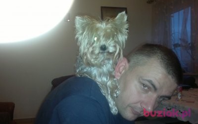 Robert, Male, 50, Warszawa, Polska, Photo: 3