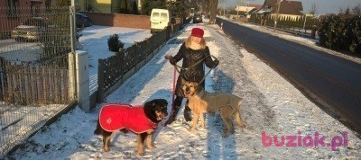 Izabela, Kobieta, 49, Poznań, Polska, Zdjęcie: 3