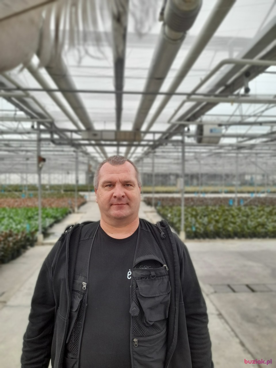 Roman, Mężczyzna, 52, Rotterdam South Holland Province, Holandia: 1