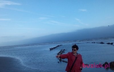 Agnes, Kobieta, 56, Brighton, Wielka Brytania, Zdjęcie: 5