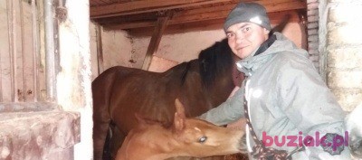 Andrzej, Mężczyzna, 37, Ełk, Polska, Zdjęcie: 2