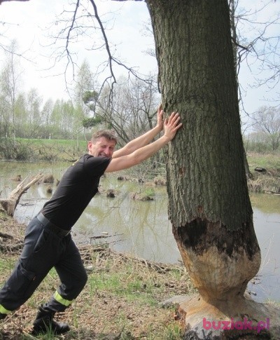 Tomek, Male, 51, Oława, Polska, Photo: 1