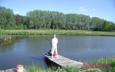 Robert, Male, 45, Wielka Brytania, Photo: 2