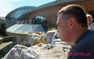 Maciej91, Male, 34, Poznań, Polska, Photo: 1