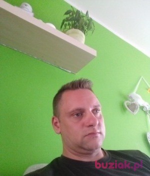 Waldek, Mężczyzna, 40, Oss North Brabant Province, Holandia, Zdjęcie: 1