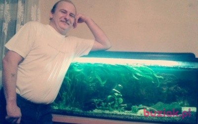 Artur, Male, 49, Kostrzyn, Polska: 1