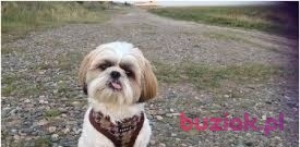 Dorian, Male, 31, Olsztyn, Polska, Photo: 2