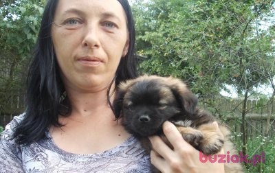 Monika, Kobieta, 44, Pionki, Polska: 1