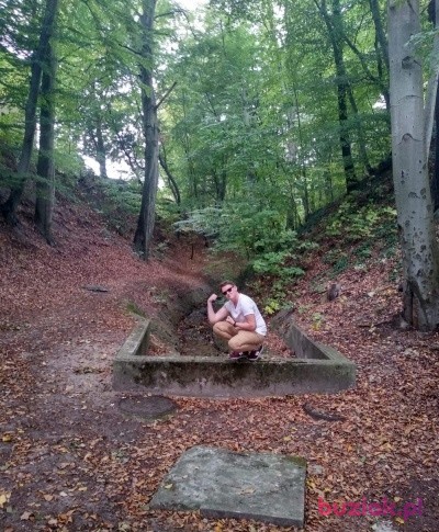 Piotrek, Mężczyzna, 25, Gdynia, Polska: 1