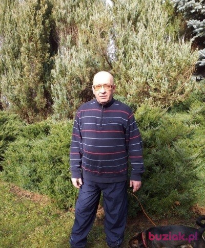 Mirosław, Mężczyzna, 58, Wrocław, Polska, Zdjęcie: 7