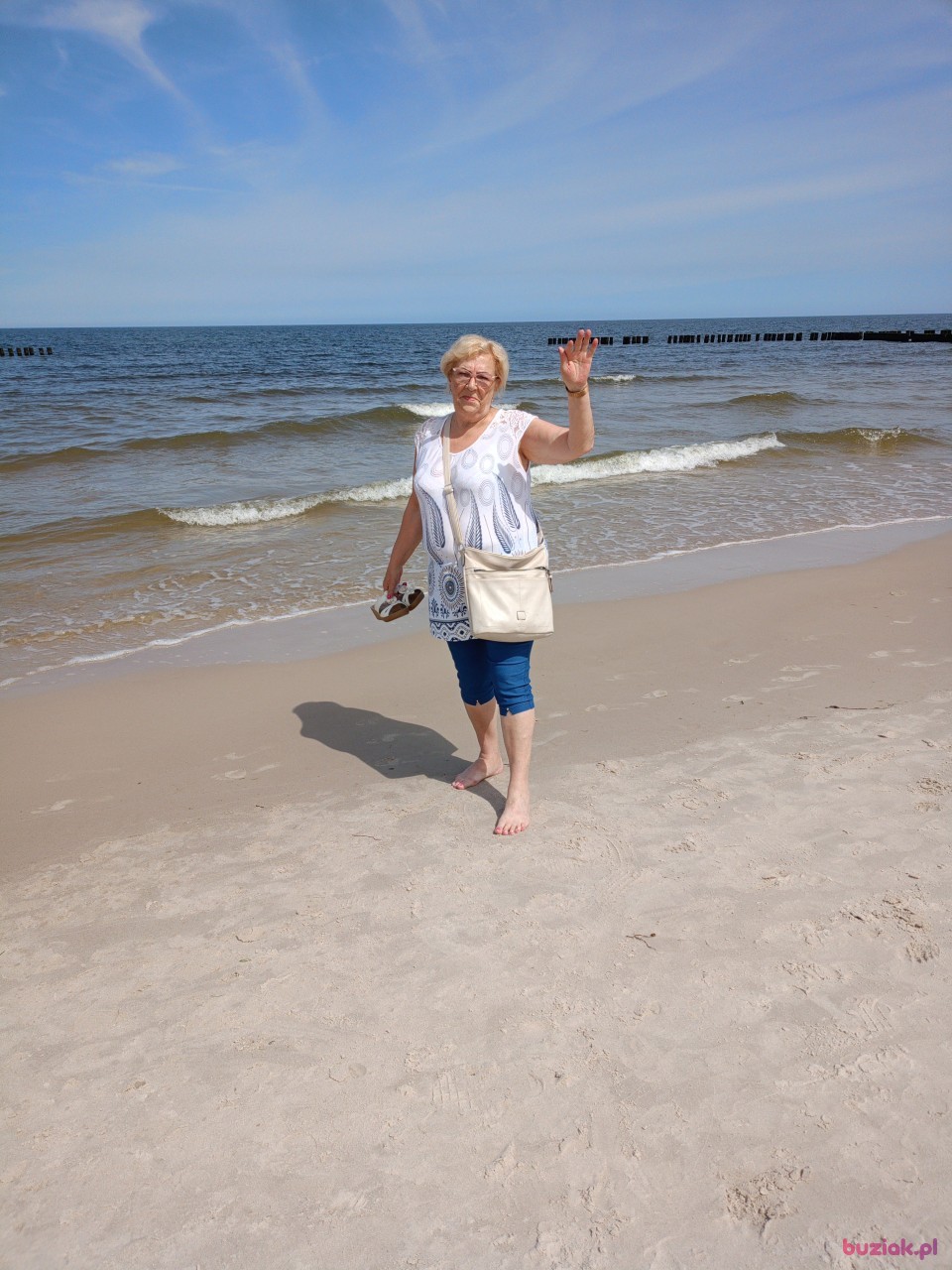 Maria, Kobieta, 73, Inowrocław, Polska, Zdjęcie: 1