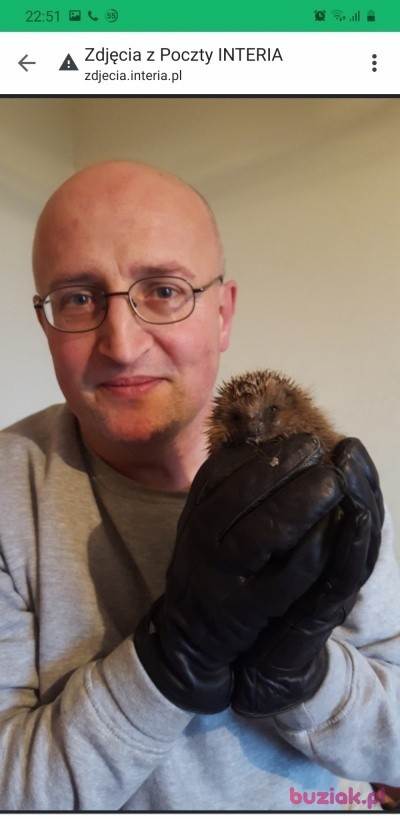 Juliusz, Male, 57, Westminster, Wielka Brytania: 1