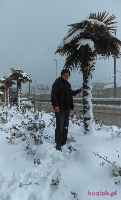 gregor3646, Male, 54, Starogard Gdański, Polska, Photo: 7