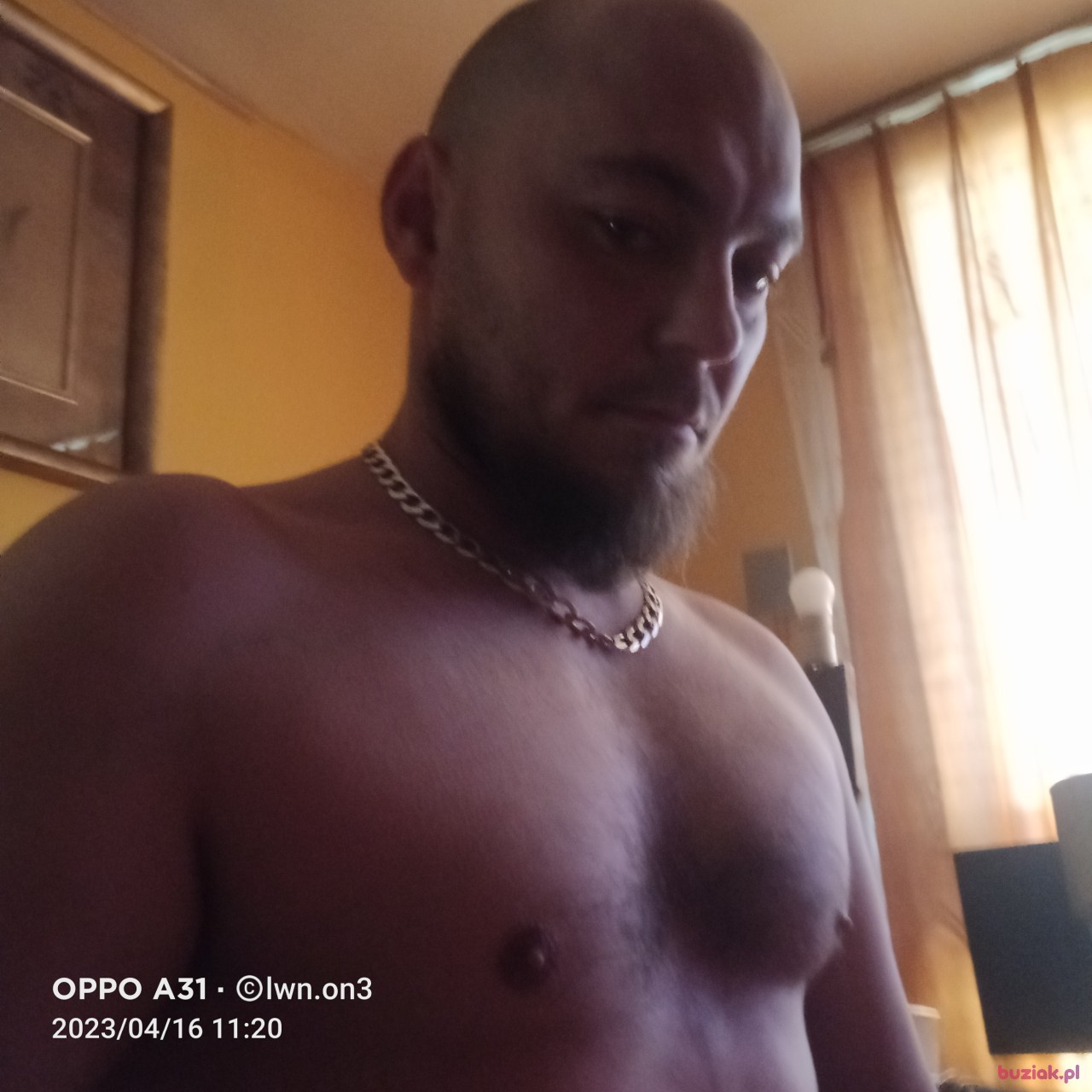Papi, Male, 35, Starachowice, Polska: 1