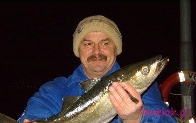 janek, Mężczyzna, 68, Elbląg, Polska, Zdjęcie: 4