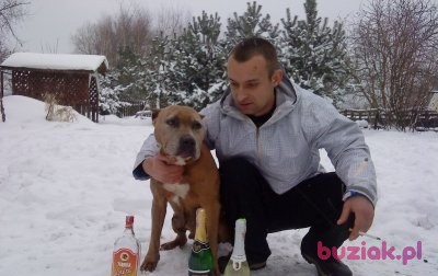 JAREK, Mężczyzna, 41, Oborniki Śląskie, Polska, Zdjęcie: 2