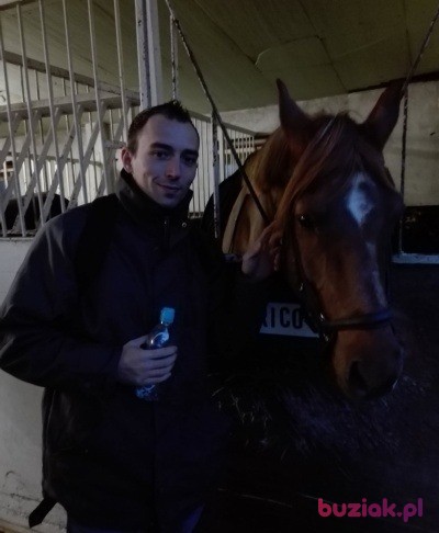 Paweł, Male, 34, Holandia, Photo: 3