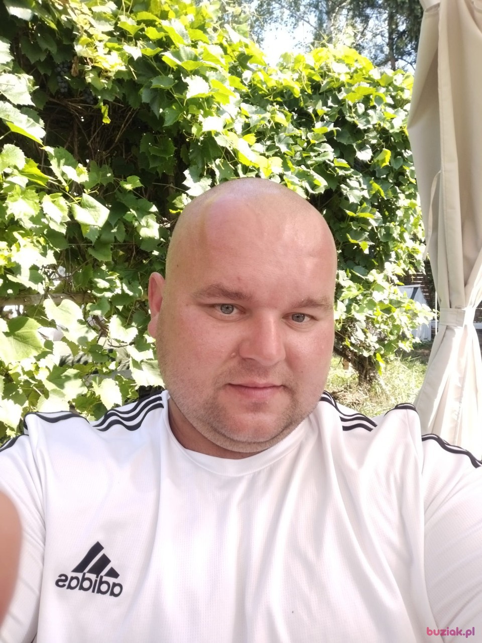 Kamil, Male, 36, Legnica, Polska: 1