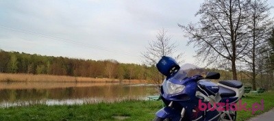 fiutek12356, Mężczyzna, 37, Zielonka, Polska, Zdjęcie: 5