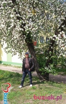 Wiktor, Male, 59, Białystok, Polska, Photo: 3