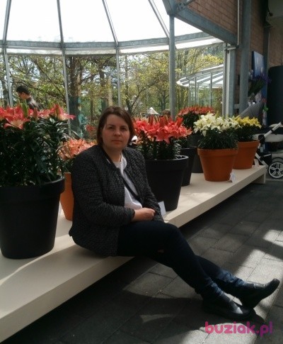 Ania4242, Kobieta, 47, Rotterdam South Holland Province, Holandia: 1