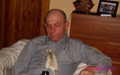 baryka, Male, 60, Gdańsk, Polska, Photo: 2