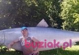 Dawid, Male, 35, Tychy, Polska: 1