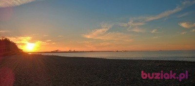 Włodek, Mężczyzna, 53, Warszawa, Polska, Zdjęcie: 6