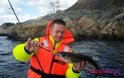 Rafal, Mężczyzna, 43, Wejherowo, Polska, Zdjęcie: 4