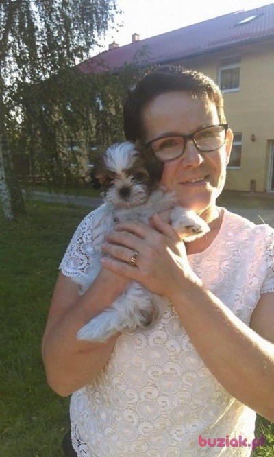 Dorota, Kobieta, 59, Polska, Zdjęcie: 2