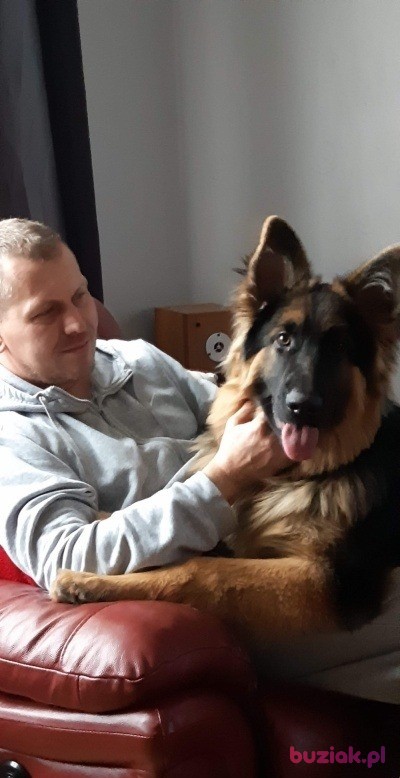 Przemysław , Mężczyzna, 48, Gwersyllt, Wielka Brytania, Zdjęcie: 2